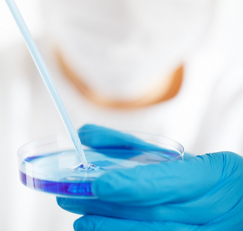 Unlocking Personalized Health Solutions with Pont Rx: A Data-Driven Approach