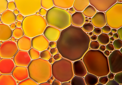 Pills vs. Oil Supplements: Which Is Right for You?