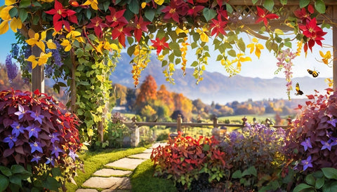 Best Fall Flowering Vines for Your Garden - Bird of Paradise