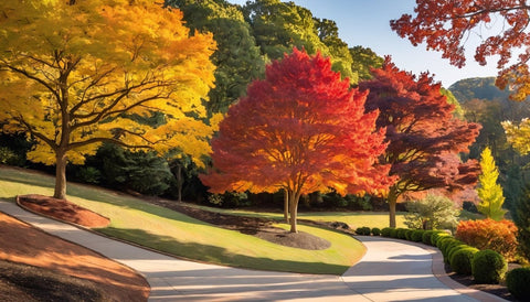 Best Trees for a Slope-Friendly Fall Garden - Bird of Paradise