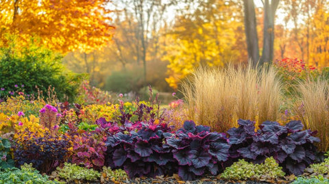 Creating a Fall Garden with Heuchera - Bird of Paradise