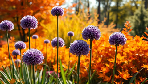 Creating a Fall Garden with Ornamental Onions - Bird of Paradise