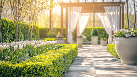 How to choose the perfect hedge plants for spring landscaping - Bird of Paradise