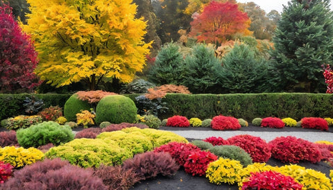 How to Create a Fall Landscape with Berries - Bird of Paradise