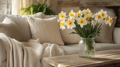 How to grow and care for daffodils in spring - Bird of Paradise