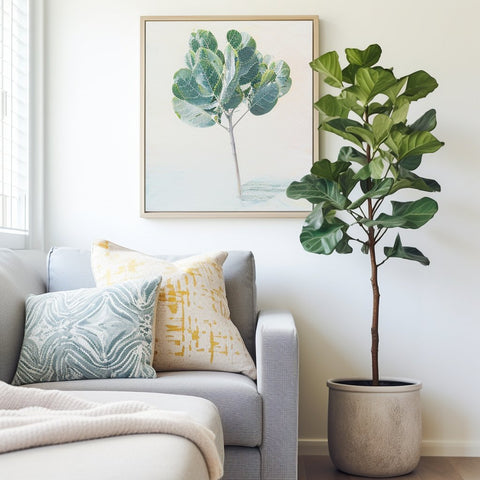 Propagating a Fiddle Leaf Fig - Bird of Paradise