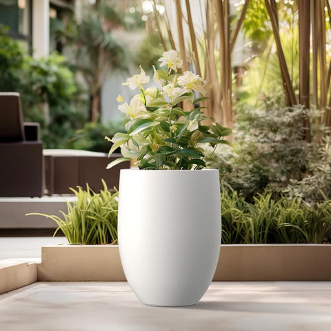 Bird of Paradise Pro Fluted Planter