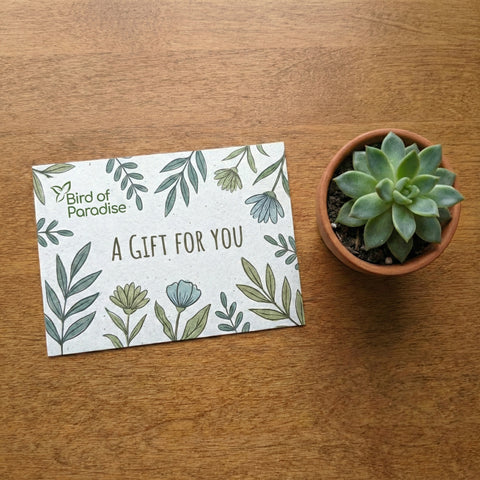 Bird of Paradise eGift Card