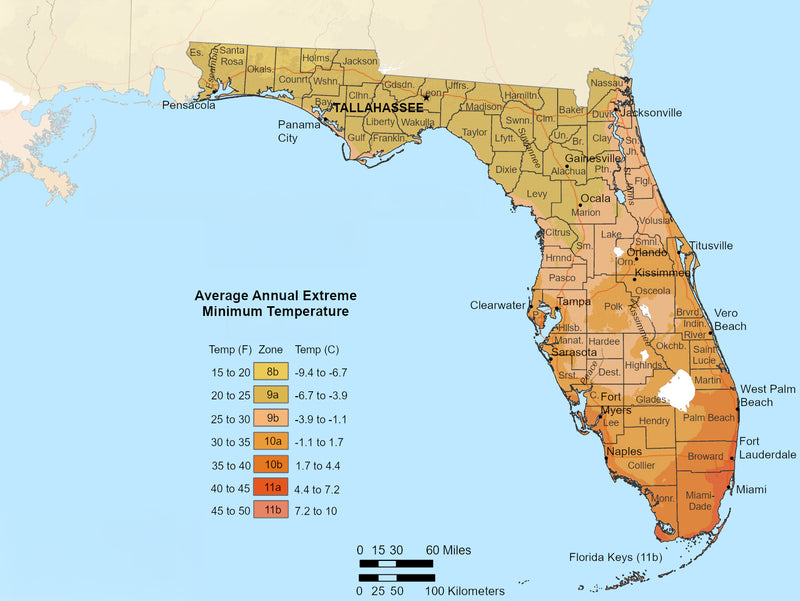 Florida Growing Zones