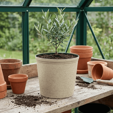 Growers Pot - Bird of Paradise USA - Beige