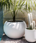 Bird of Paradise Pro Globe Planter - Bird of Paradise USA -