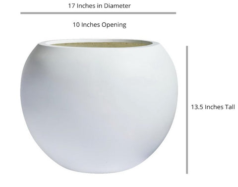 Bird of Paradise Pro Globe Planter - Bird of Paradise USA -