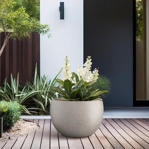 Bird of Paradise Pro Pot Round