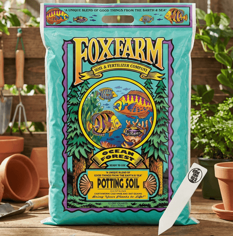 bird of paradise potting mix Bird of Paradise Signature Potting Blend (pH Balanced)