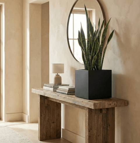 The Architectural Steel Planter - Bird of Paradise USA - 16" Cube