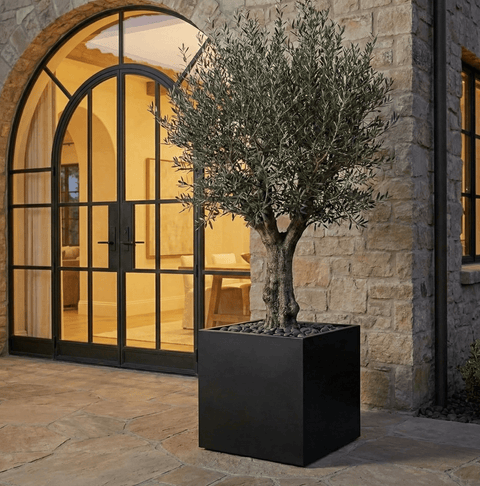 The Architectural Steel Planter - Bird of Paradise USA - 24" Cube