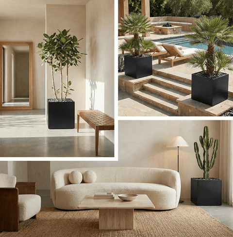 The Architectural Steel Planter - Bird of Paradise USA - 26" Cube